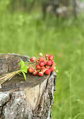 red wild strawberries in forest, abstract natural background. picking Ripe Sweet berries, organic healthy vitamins food. Summer berries harvest season. template for design. copy space