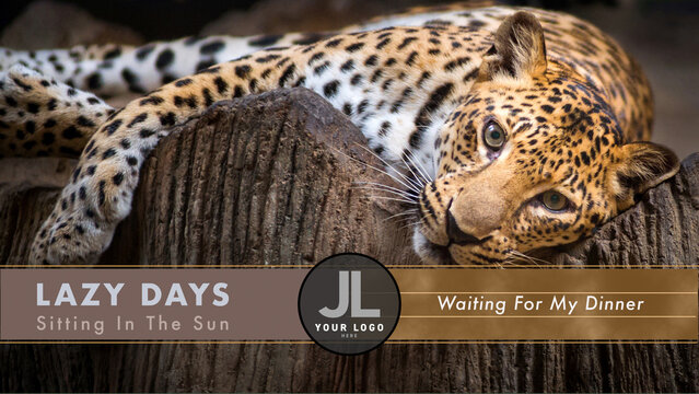 Nearly A Watch Overlay