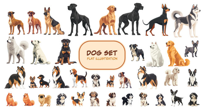 Large dog set. Dogs collection flat style. Lots of dog breeds. Vector set illustration.