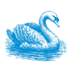 swan vector, swan crown vector, swan logo vector, swan illustration, swan logo, swan