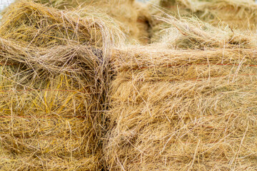 mowed straw stored for cattle feeding