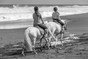 Promenade à cheval sur la plage 