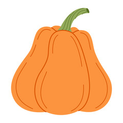 Ripe orange pumpkin. Hand drawn trendy flat style isolated on transparent background. Organic food, Autumn Harvest, Thanksgiving, halloween concept. Healthy vegetarian menu. Vector illustration