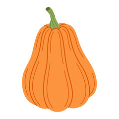 Ripe orange pumpkin. Hand drawn trendy flat style isolated on transparent background. Organic food, Autumn Harvest, Thanksgiving, halloween concept. Healthy vegetarian menu. Vector illustration