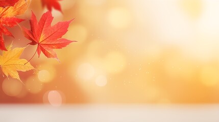 Fototapeta premium web banner design for autumn season and end year activity with red and yellow maple leaves with soft focus light and bokeh background.
