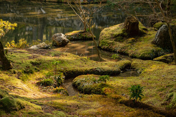 Jardin du temple des mousses, Kyoto, Kansai, Japon