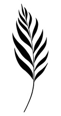 Obraz premium PNG black and white uneven lines stroke outline of simple *plant leaf* in style chinese ink brush stroke , gouach texture, minimal clean, isolated on off white background