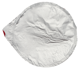 Round aluminum thin lid for plastic yogurt jars, sour cream on a white background