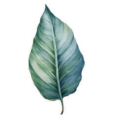 Botanical leaf digital painted png