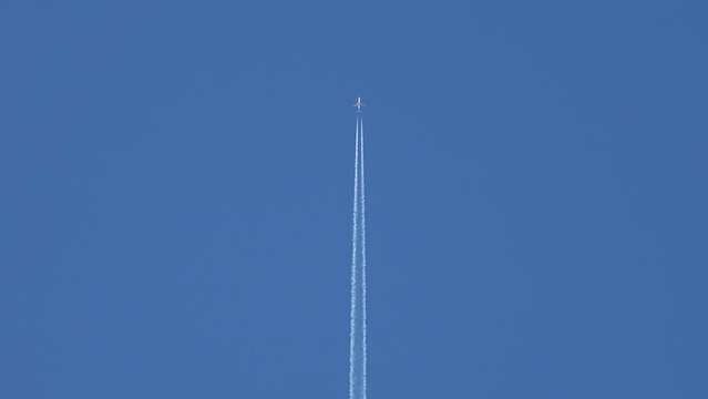 A commercial airliner jet with a thick, white vapor contrail flies distantly overhead in a clear, blue, daytime sky.