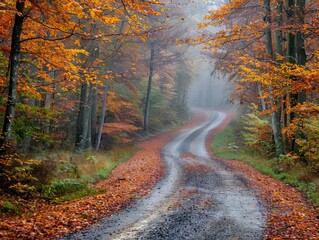 Winding Forest Path Through Foggy Autumn Woods
