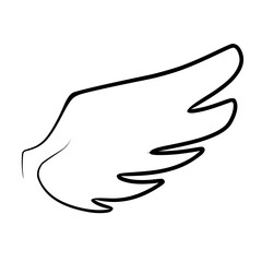 Hand drawn wing sketch. Outline vector