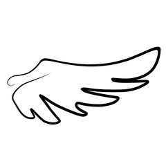 Obraz premium Hand drawn wing sketch. Outline vector