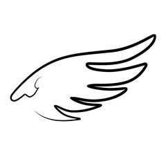 Hand drawn wing sketch. Outline vector