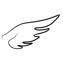 Hand drawn wing sketch. Outline vector