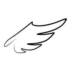 Hand drawn wing sketch. Outline vector