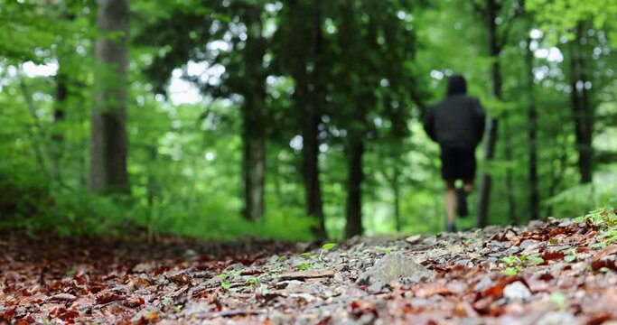 Trail runner training on a forest trail