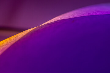 Works created from a single sheet of paper Convey the work that comes out beautifully.