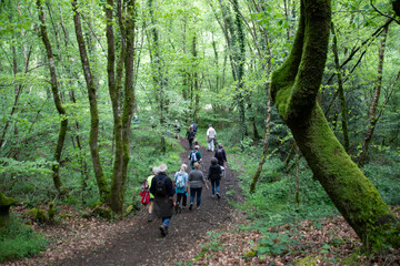 Fototapeta premium Groupe de randonneurs seniors en Bretagne