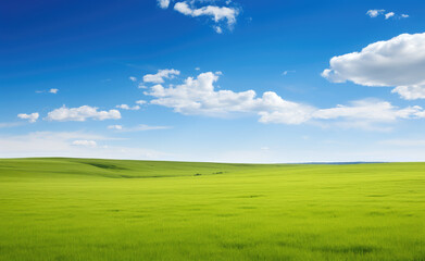 Obraz premium Serene Green Field Under Blue Sky
