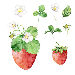 Watercolor strawberry bush with flowers and butterfly