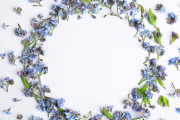 Round frame of beautiful forget-me-not flowers on white background, top view. Space for text