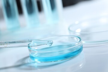 Dripping liquid from pipette into petri dish at white table, closeup