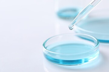 Dripping liquid from pipette into petri dish at white table, closeup. Space for text