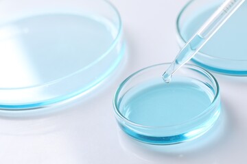Dripping liquid from pipette into petri dish at white table, closeup. Laboratory analysis