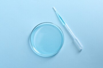 Transfer pipette and petri dish on light blue background, top view