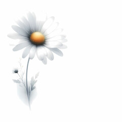 white daisy on white