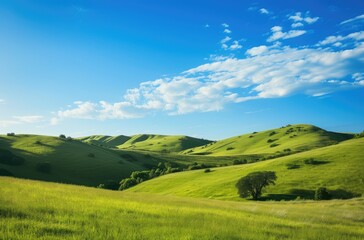 Fototapeta premium Serene Green Hills Under Blue Sky