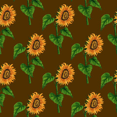 Watercolor sunflower seamless pattern. Floral background with yellow flowers. Summer floral composition. Autumn flowers arrangement. Hand drawn botanical illustration for packaging, textile, scrapbook