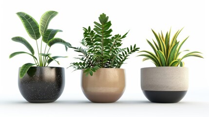 Obraz premium beautiful plants in ceramic pots isolated on white background perfect for digital composition and architecture visualization 3d render