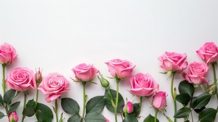 Fototapeta premium blooming pink roses floral frame on white table decorative web banner flat lay