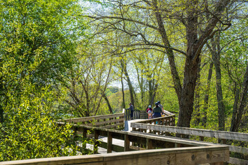 Roswell Riverwalk Boardwalk is a 7-mile off-road path runs along the Chattahoochee River in Roswell, Georgia, north of Fulton County. A walking path along the river. People can walk their pets
