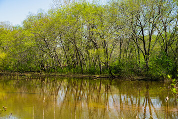 Roswell Riverwalk Boardwalk is a 7-mile off-road path runs along the Chattahoochee River in Roswell, Georgia, north of Fulton County. A walking path along the river. People can walk their pets