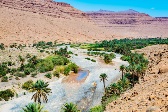 Ziz Valley In Morocco: One Of The Largest Oases In The World. The valley is crossed by the river with the same name (River Ziz Ghriss or Oued Ziz Ghriss)