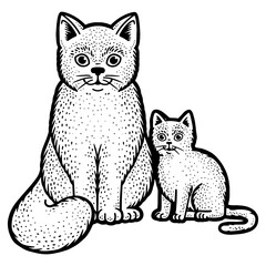 Obraz premium cat mom with kitten sketch engraving PNG illustration. T-shirt apparel print design. Scratch board imitation. Black and white hand drawn image.