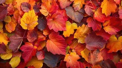 Colorful autumn leaves, a carpet of fall splendor, warm and inviting for seasonal themes