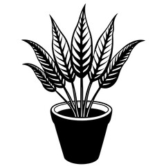 illustration of a plant