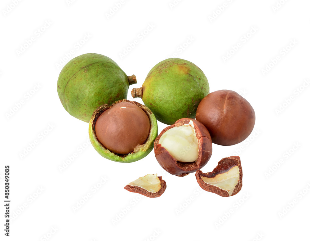 Canvas Prints macadamia nuts transparent png