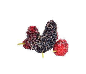 mulberry transparent png