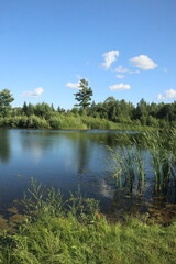 country view lake and forest