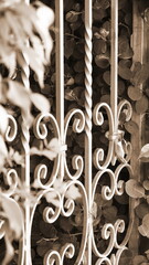 Beautiful Decorative Fence in the Garden. Vintage wrought iron gates. A metal fence among the bushes