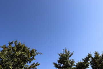 가을 하늘 높고 맑게 개인 곳