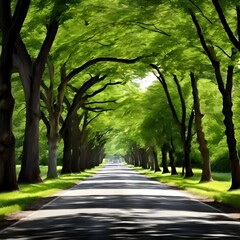 Obraz premium Trees play a crucial role in the environment by producing oxygen, absorbing carbon dioxide, and providing habitat for wildlife.