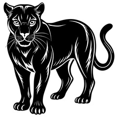 a-black-and-white-panther-animal