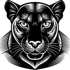 a-black-and-white-panther-animal