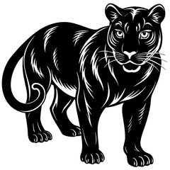 a-black-and-white-panther-animal